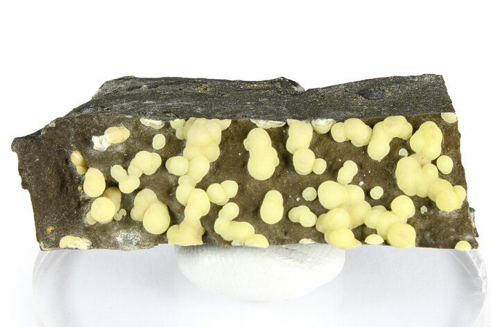 Globular Yellow Calcite Formations on Basalt - Italy #368884